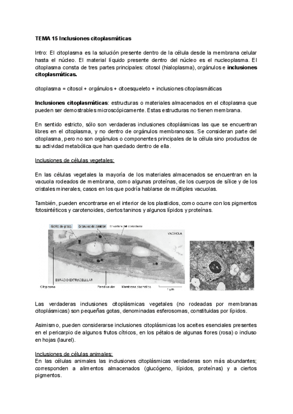 Miniatura del documento TEMA-15-Inclusiones-citoplasmaticas.pdf