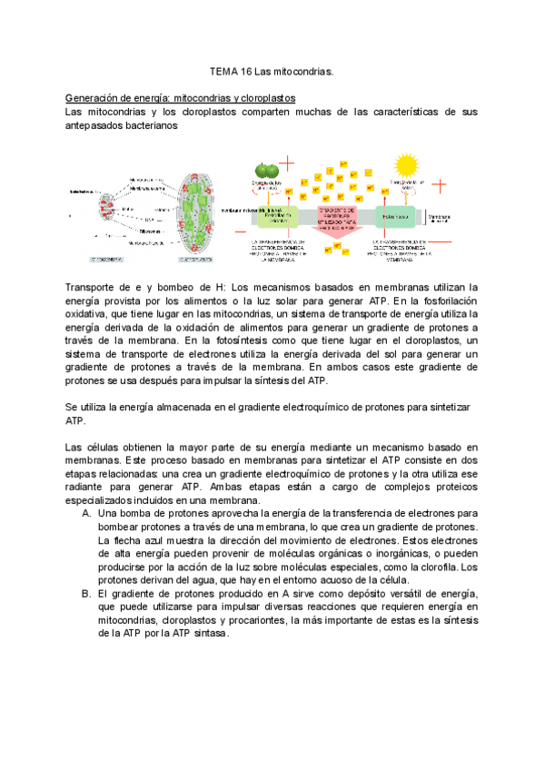 Miniatura del documento TEMA-16-17.pdf