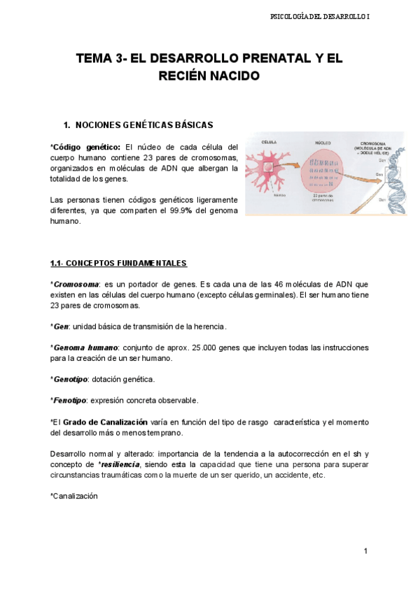 Miniatura del documento TEMA 3  DES.pdf
