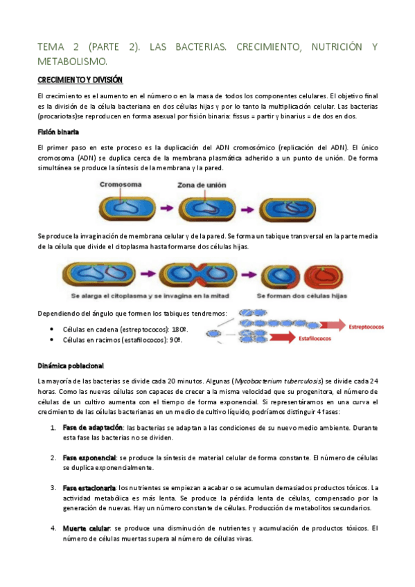 Miniatura del documento TEMA-2-PARTE-2.-LAS-BACTERIAS.-CRECIMIENTO-NUTRICION-Y-METABOLISMO..pdf