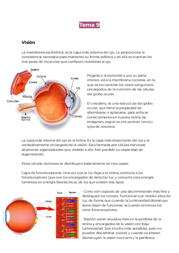 Miniatura del documento Tema-9.pdf