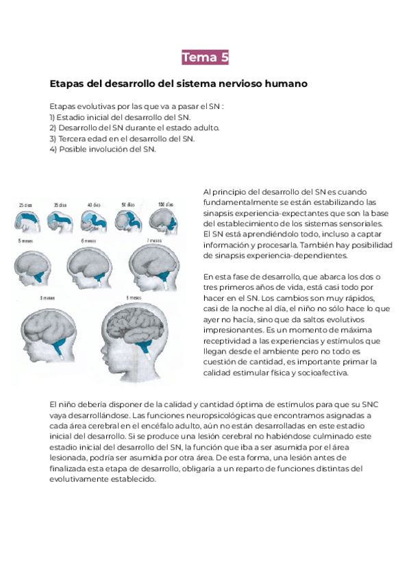 Miniatura del documento Tema-5.pdf