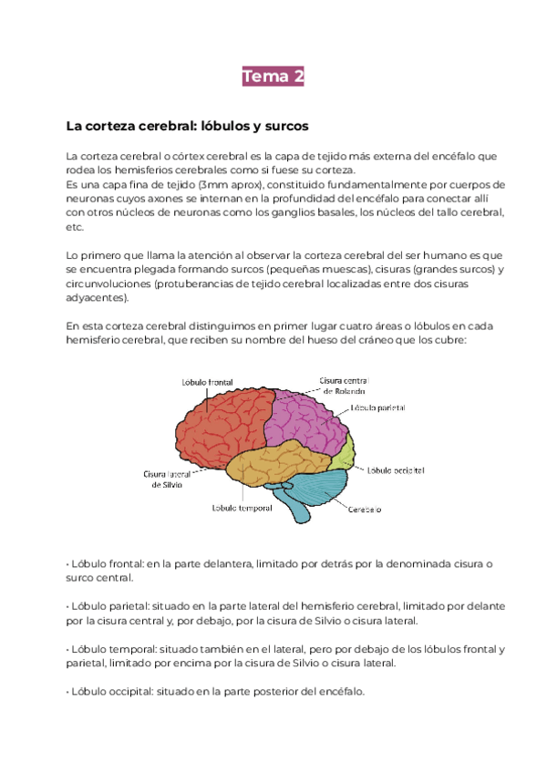 Miniatura del documento Tema-2.pdf