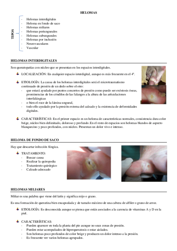 Miniatura del documento HELOMAS.pdf