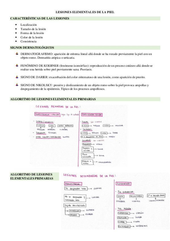 Miniatura del documento LESIONES-ELEMENTALES-DE-LA-PIEL.pdf
