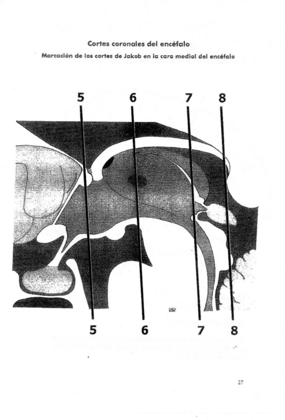 Miniatura del documento ilovepdfmerged-13.pdf