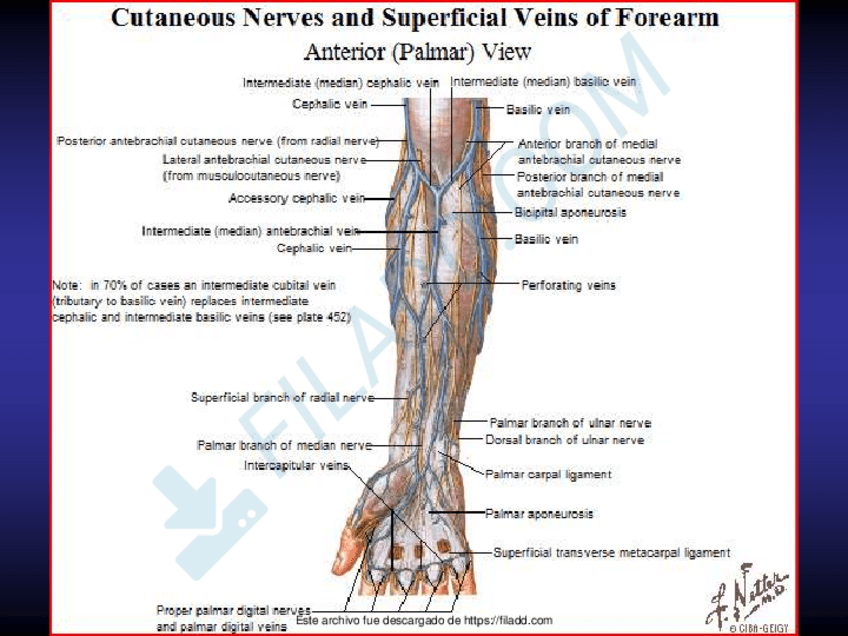 Miniatura del documento ilovepdfmerged-26.pdf
