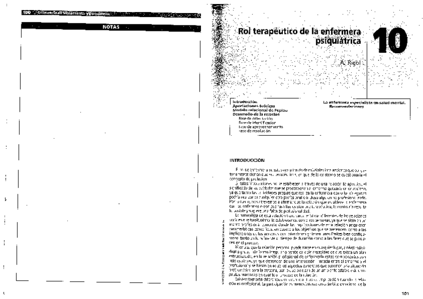 Miniatura del documento Rol-Terapeutico-Enfermera-SM.pdf