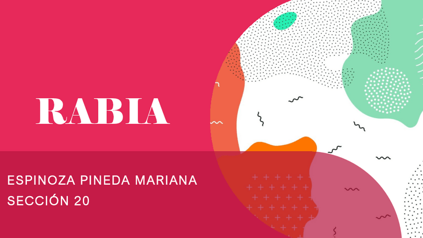 Miniatura del documento Rabia.pdf