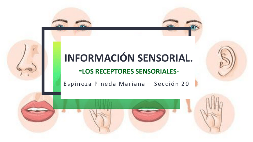 Miniatura del documento Receptores-Sensoriales.pdf