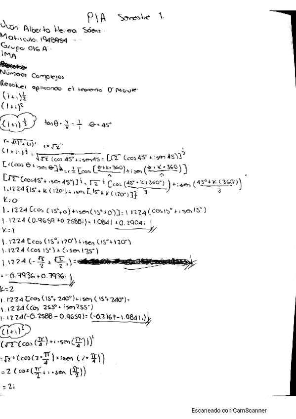 Miniatura del documento PIA.pdf