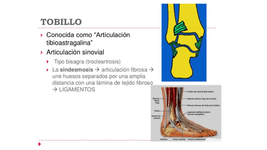 Miniatura del documento Fractura-de-Tobillo.pdf