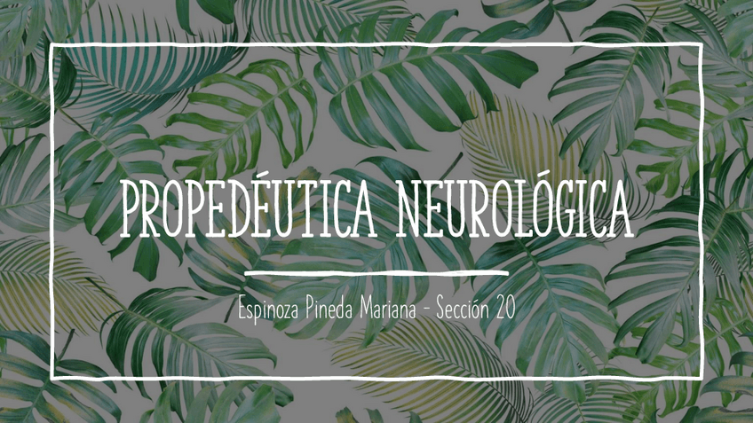 Miniatura del documento Propedeutica-Neurologica.pdf