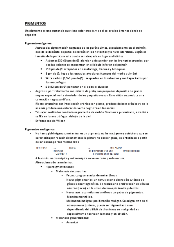 Miniatura del documento TEMA 5 TERMINADO.pdf