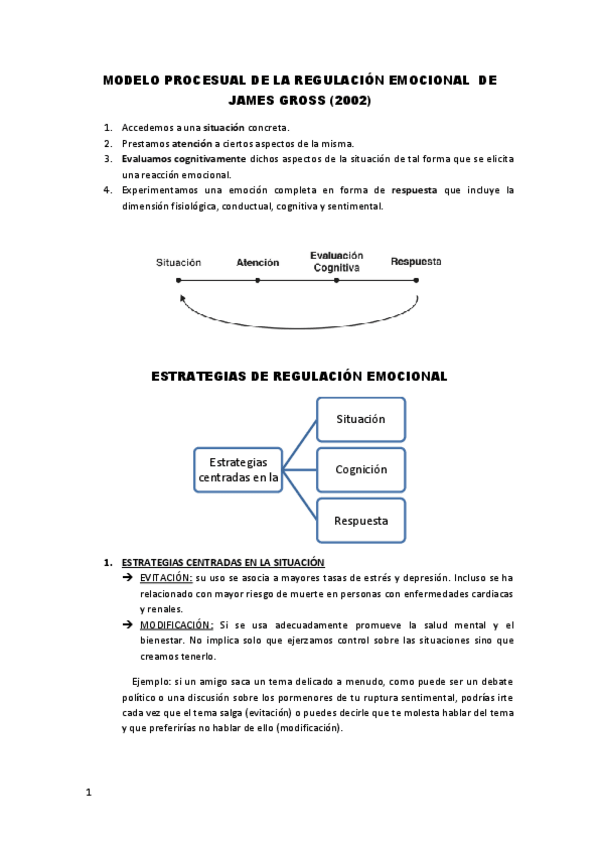 Miniatura del documento RESUMEN-ESTRATEGIAS-DE-REGULACION-EMOCIONAL.pdf
