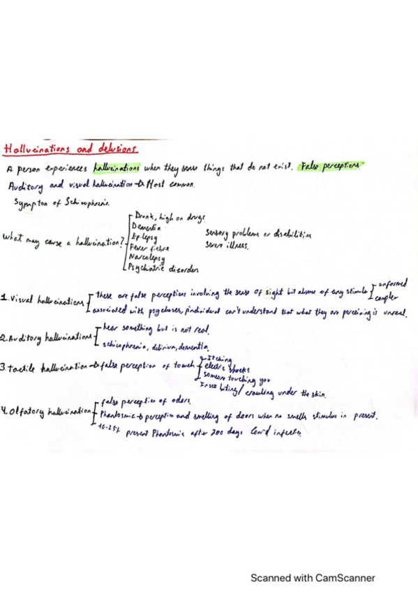 Miniatura del documento hallucinations-and-delusions.pdf