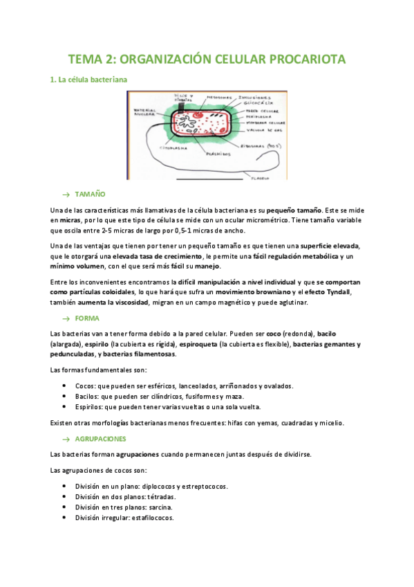 Miniatura del documento TEMA-2-BIOLOGIA.pdf