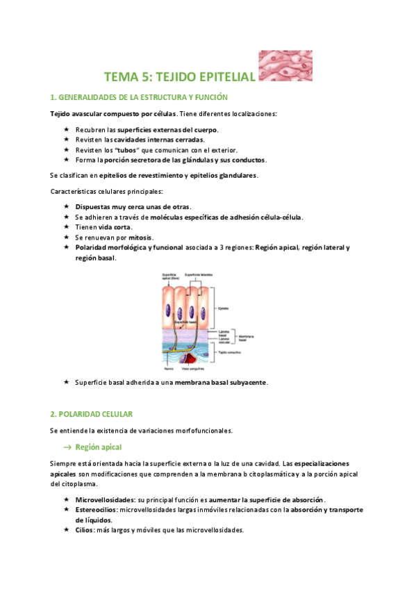 Miniatura del documento TEMA-5-BIOLOGIA.pdf