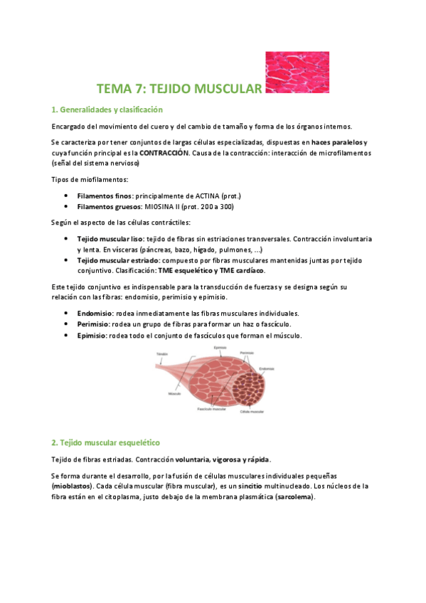 Miniatura del documento TEMA-7-BIOLOGIA.pdf