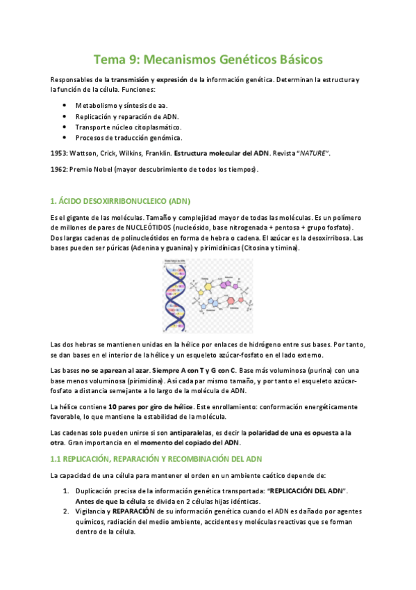 Miniatura del documento TEMA-9-BIOLOGIA.pdf