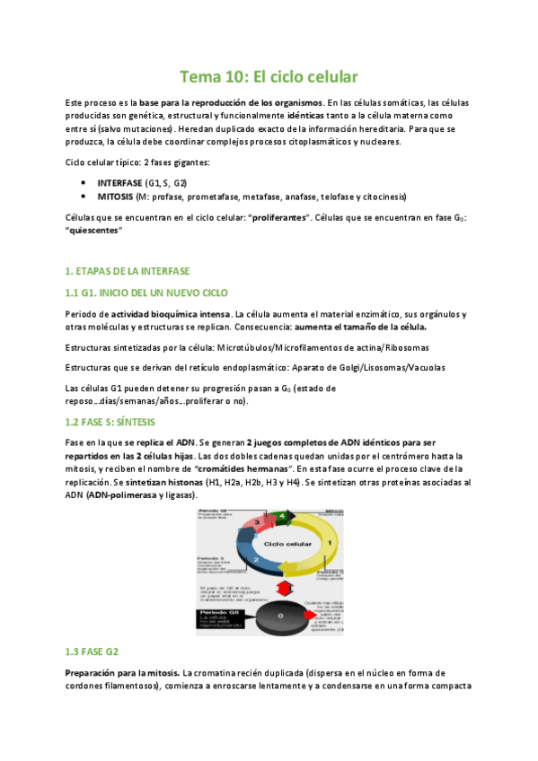 Miniatura del documento TEMA-10-BIOLOGIA.pdf