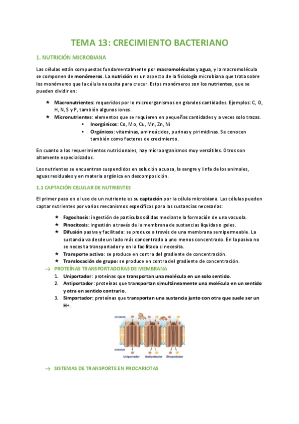 Miniatura del documento TEMA-13-BIOLOGIA.pdf