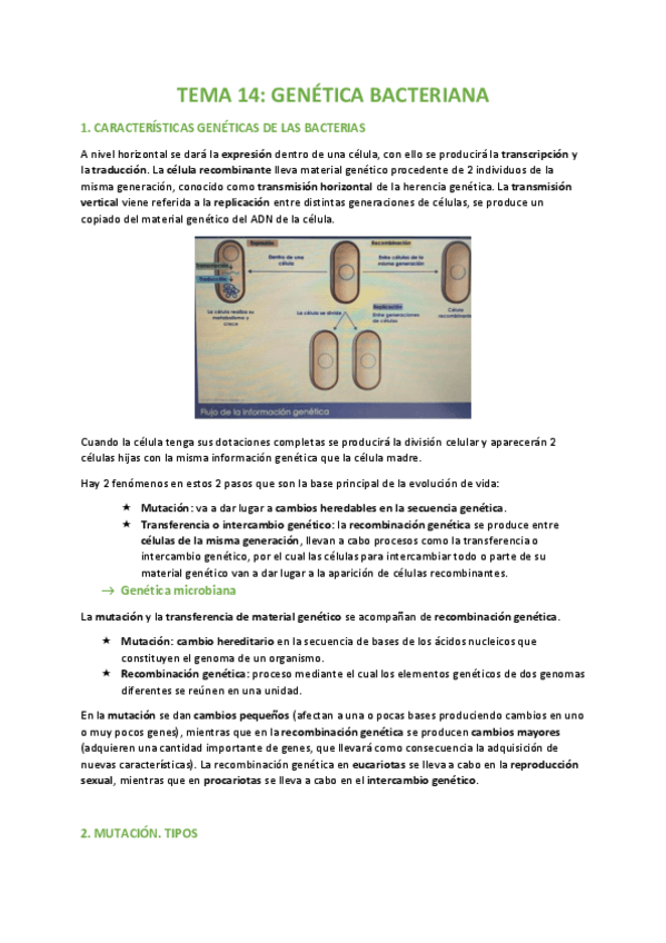 Miniatura del documento TEMA-14-BIOLOGIA.pdf