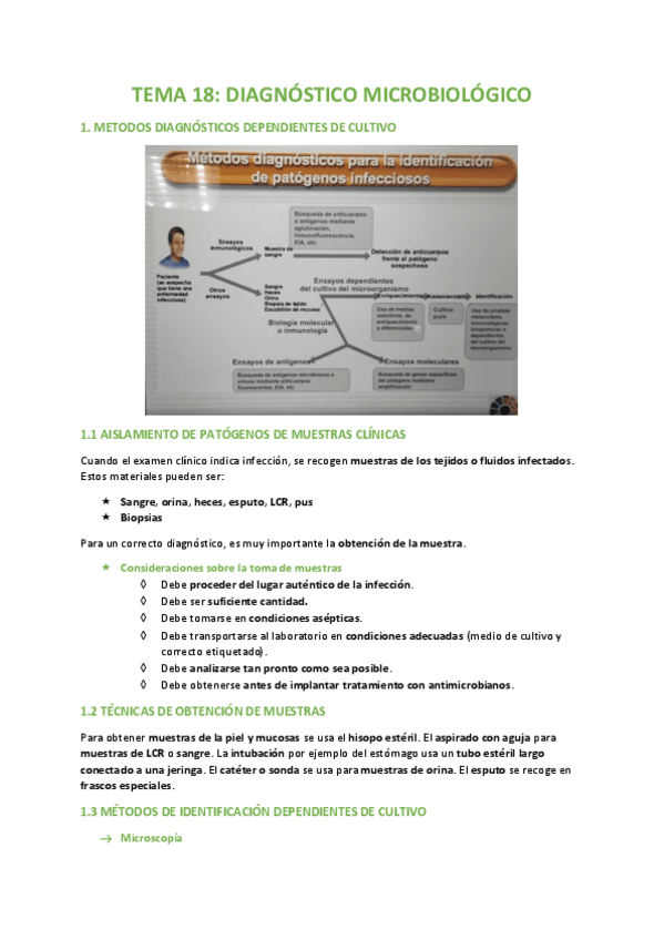 Miniatura del documento TEMA-18-BIOLOGIA.pdf