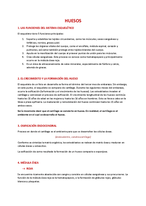 Miniatura del documento HUESOS-ANATOMIA.pdf