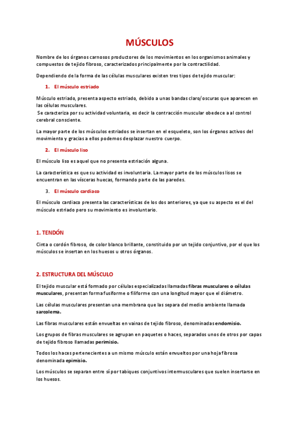 Miniatura del documento MUSCULOS-ANATOMIA.pdf