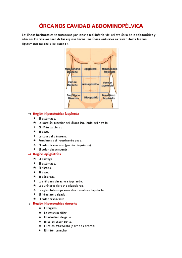 Miniatura del documento ORGANOS-CAVIDAD-ABDOMINOPELVICA-ANATOMIA.pdf