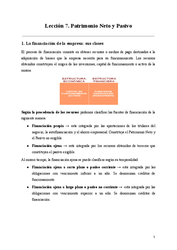 Miniatura del documento Leccion-7.-Patrimonio-Neto-y-Pasivo.pdf