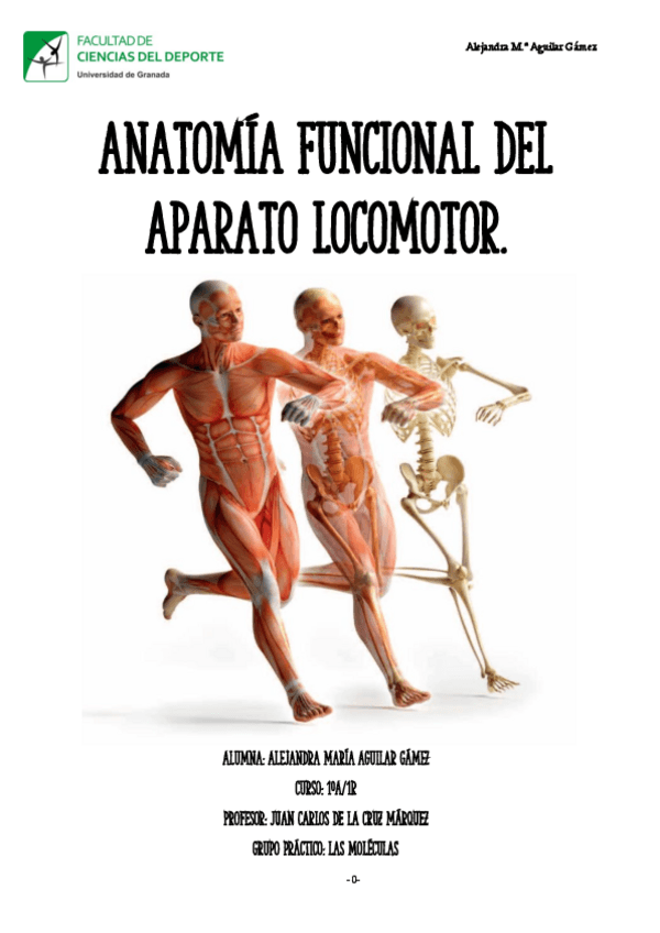 Miniatura del documento ANATOMIA-DOSIER-NOTA-9.75-ANO-2223.pdf