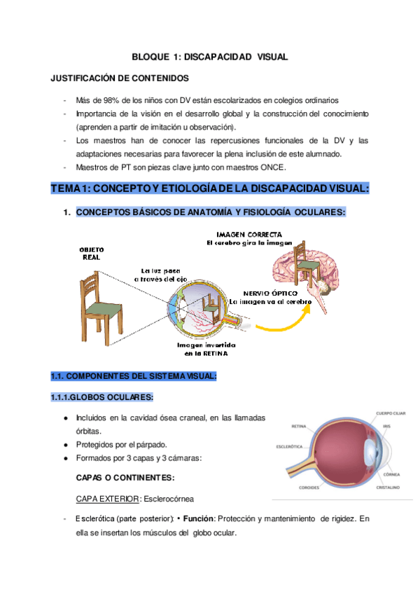 Miniatura del documento D.SENSORIALES-Y-MOTRICES.pdf