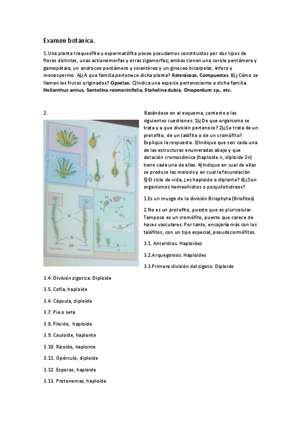 Miniatura del documento Ejemplo-examen.pdf