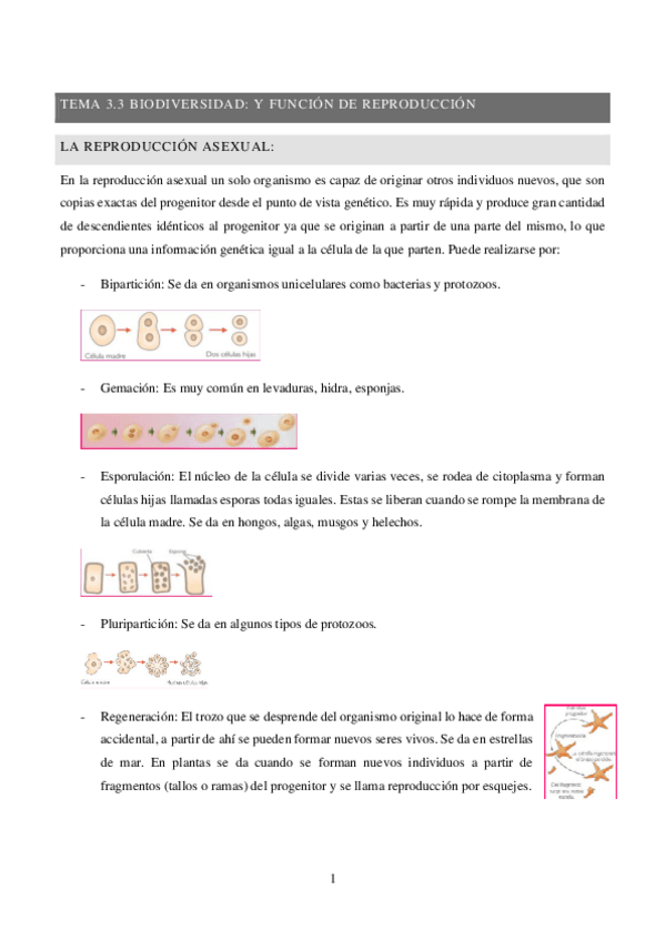 Miniatura del documento TEMA-3.3-resumenes.pdf