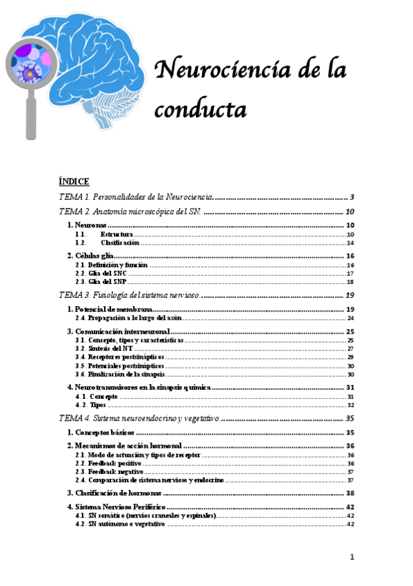 Miniatura del documento Neurociencia-teoria.pdf