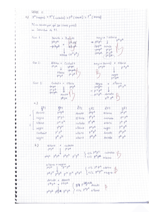 Miniatura del documento todas-las-series-corregidas.pdf