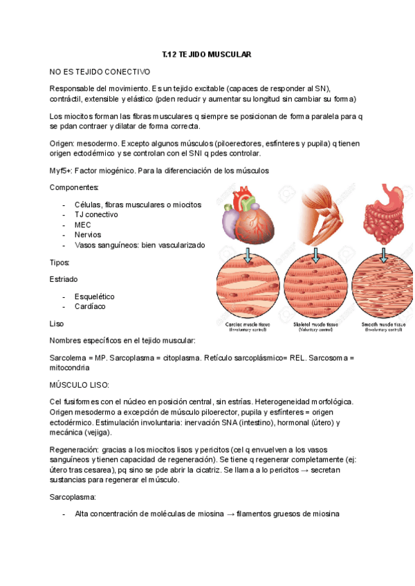 Miniatura del documento T.12-Musculo.pdf