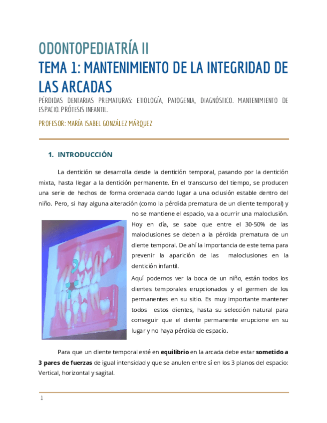 Miniatura del documento Tema-1-Mantenimiento-de-espacio.pdf
