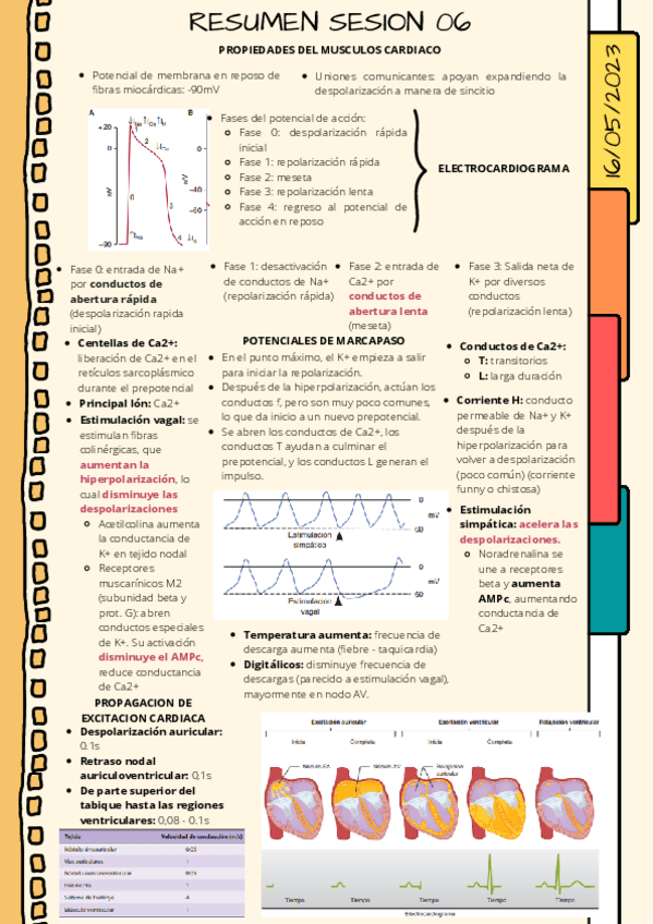 Miniatura del documento RESUMEN-FISIOLOGIA-CARDIACAGUYTON-Y-GANONG.pdf