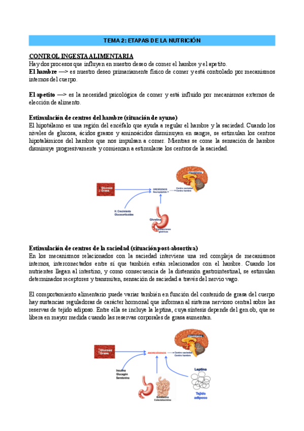 Miniatura del documento DN-TEMA-2.pdf