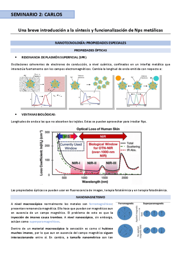 Miniatura del documento Seminario-2.pdf