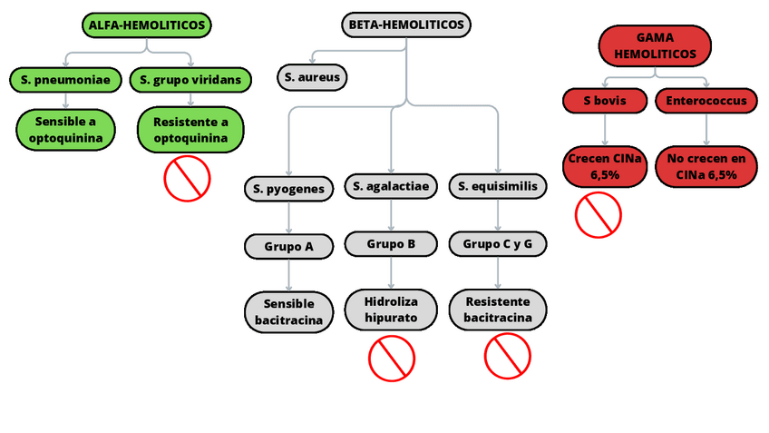 Miniatura del documento ALGORITMO-DE-IDENTIFICACION-DE-BACTERIAS-GRAM-.pdf