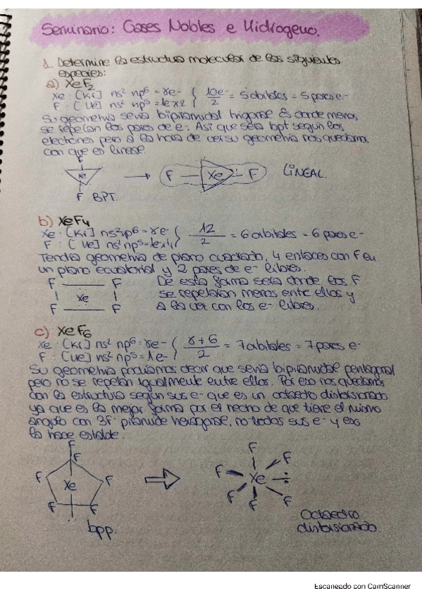 Miniatura del documento SemiGNyH.pdf