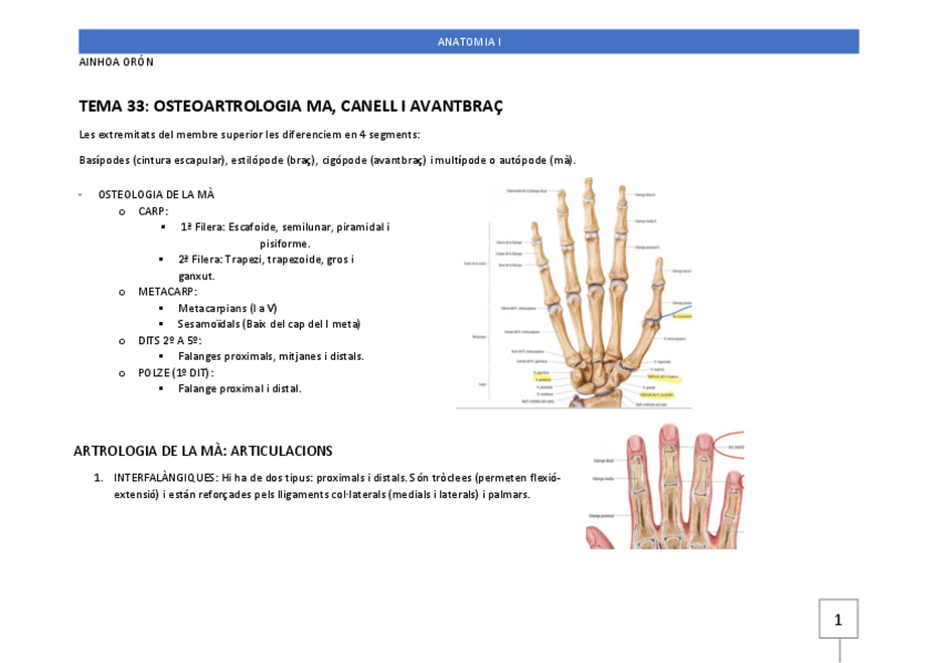 Miniatura del documento ANATO-1-SEGUNDO-CUATRI-T.-33-64.pdf
