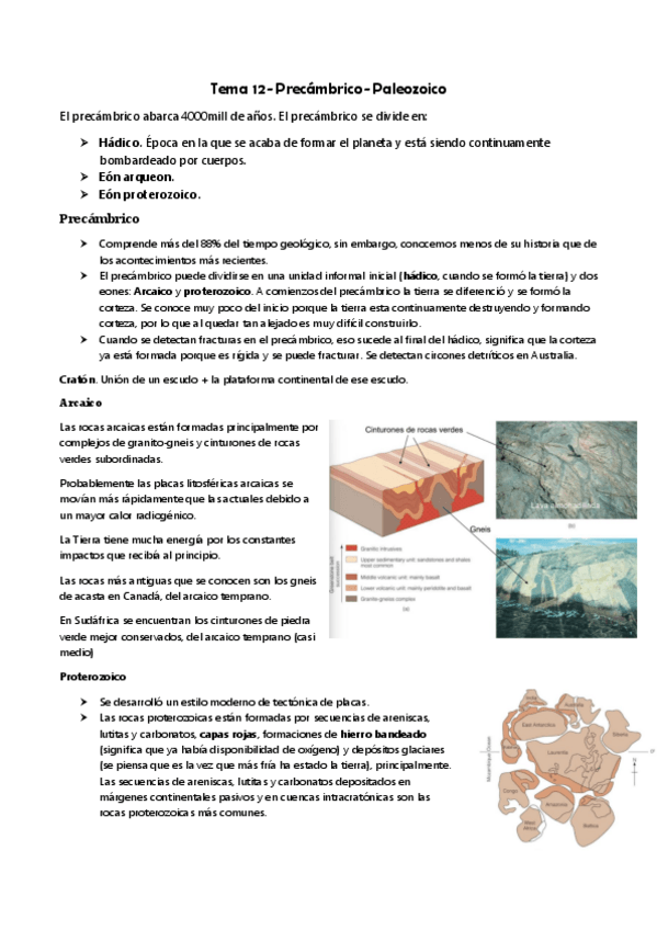 Miniatura del documento Tema-12.-Precambrico-y-cambrico.pdf