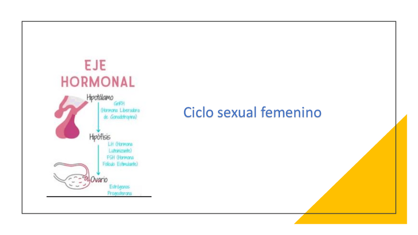 Miniatura del documento Ciclo-sexual-femenino.pdf