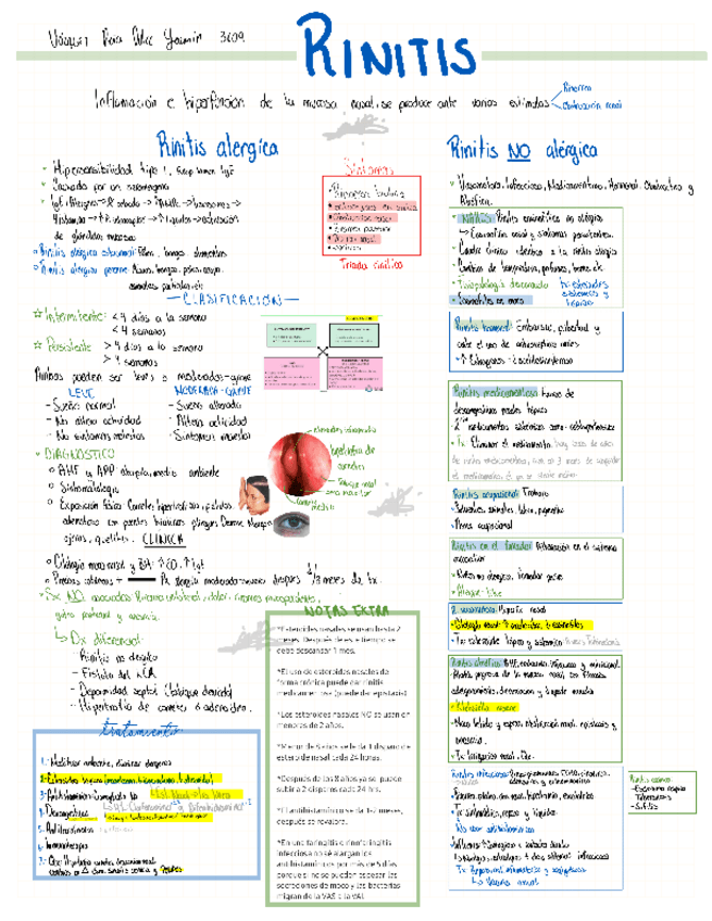Miniatura del documento RINITIS.pdf