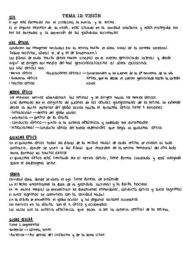 Miniatura del documento Tema-12.-Vision.pdf